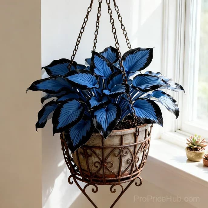 Rare Premium Hosta Bulbs – Easy to Grow for Garden Transformation - View 34