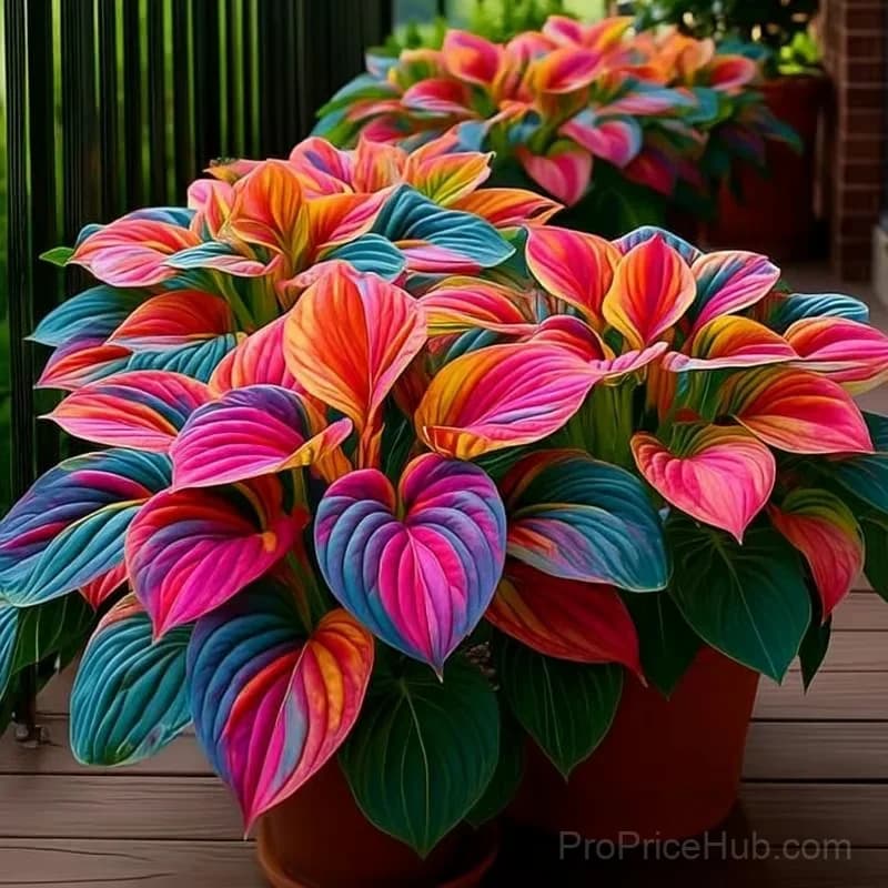Turn Dead Corners Into a Lush Garden Paradise – Shade-Tolerant Seeds - View 8