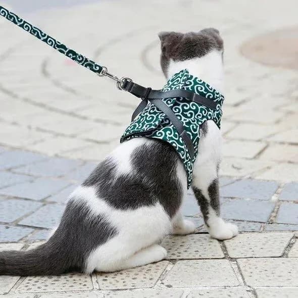 Pet Vest Harness and Leash Set, Green, Adult Cat - View 2