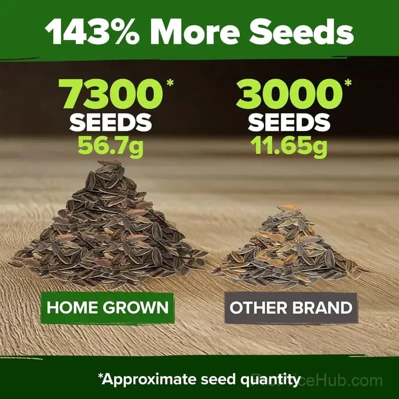 Zinnia Seeds - Heirloom, Pure, No Filler Flower Seeds - View 6