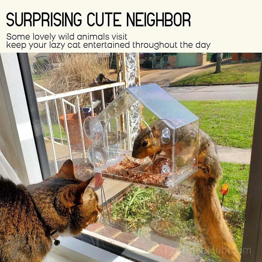 Outdoor Window Bird Feeder - View 7