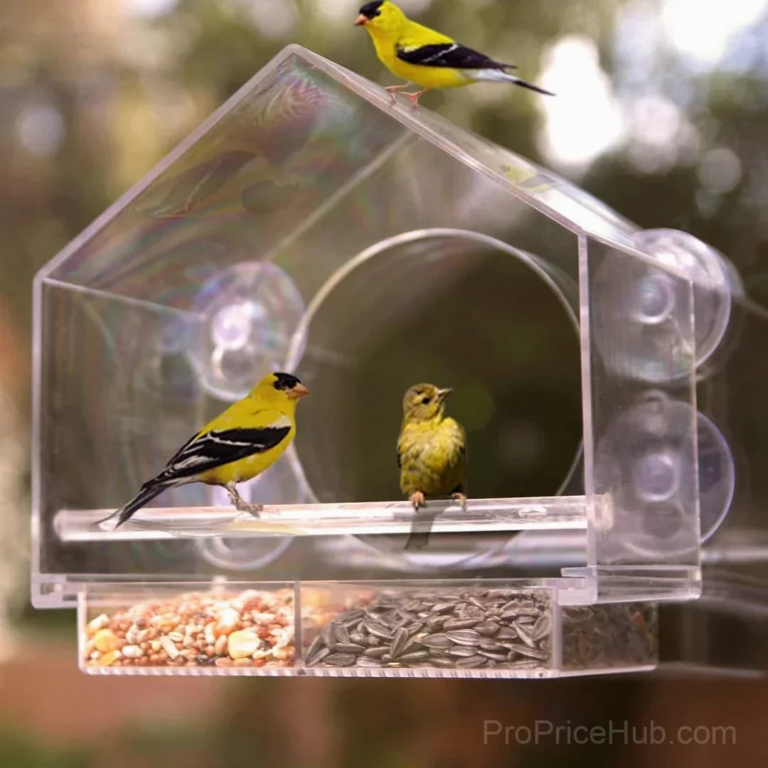 Outdoor Window Bird Feeder - View 6