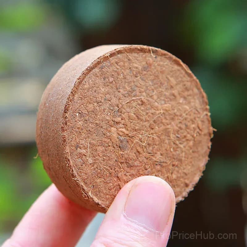 Organic Coconut Coir Bricks for Plants, 5 x 1.5 cm - View 3