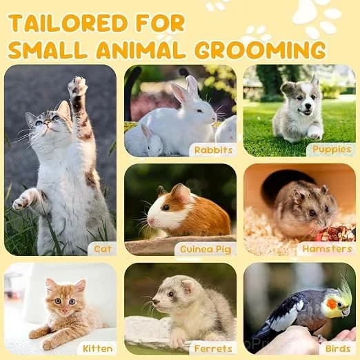 Cat nail clippers, made of stainless steel, suitable for small pets such as cats, rabbits, and dogs. - View 6