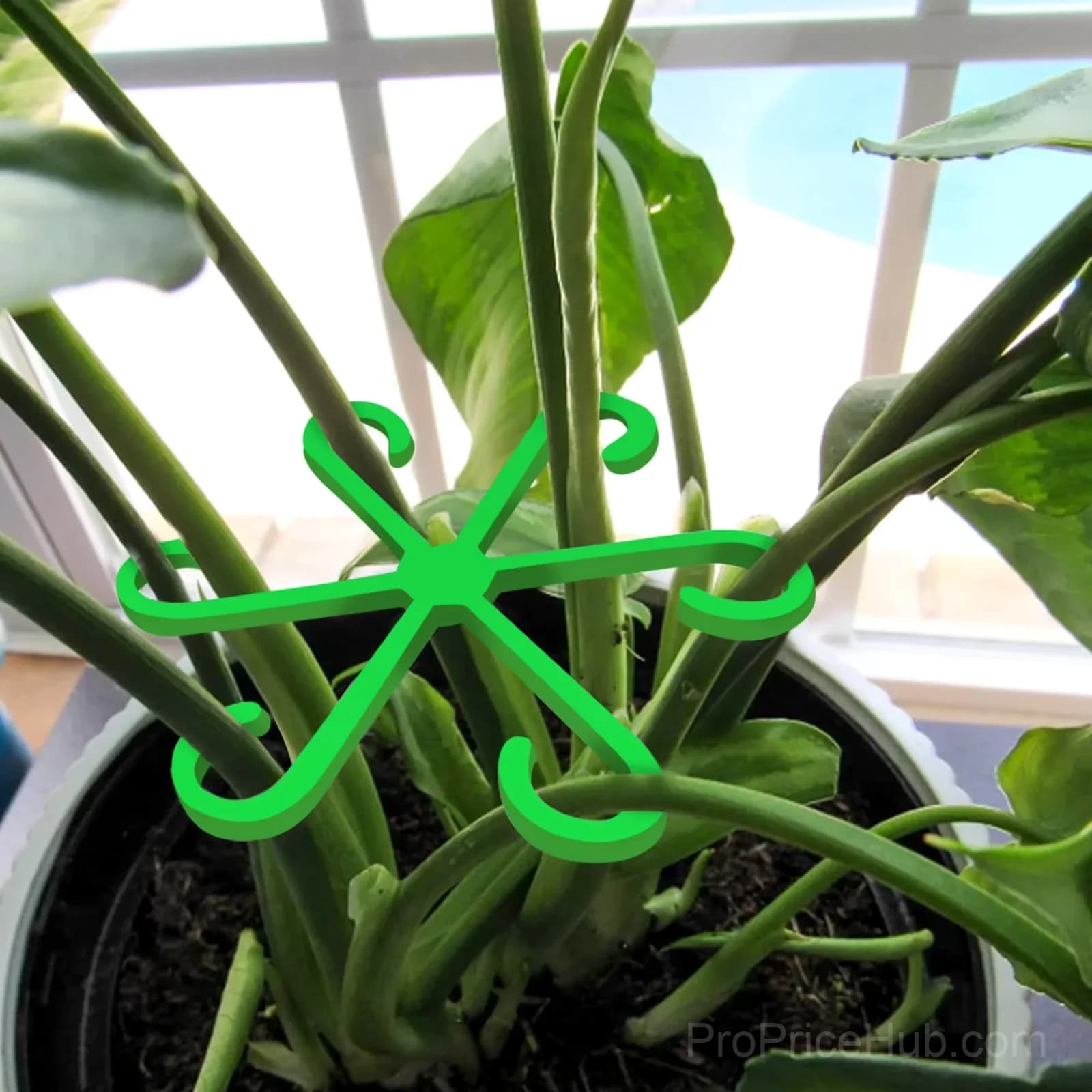 Black Plant Stem Support Set, 1 Set Garden Plant Supports - View 4