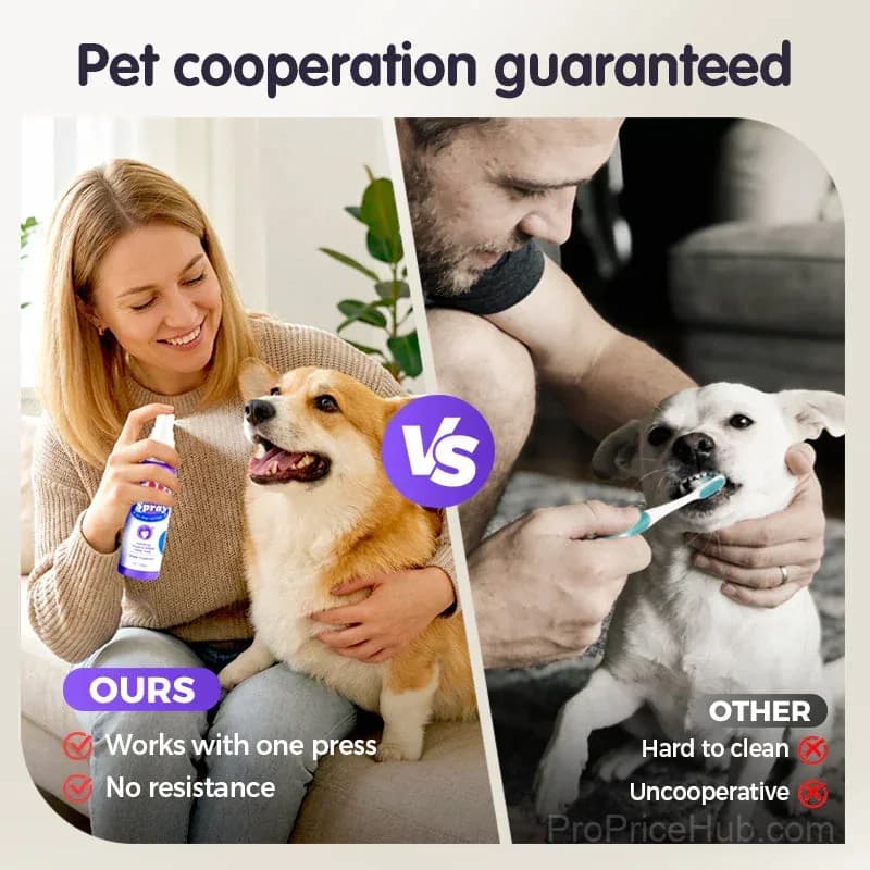 Pet Teeth Cleaning Spray – Fresh Breath & Plaque Control - View 3