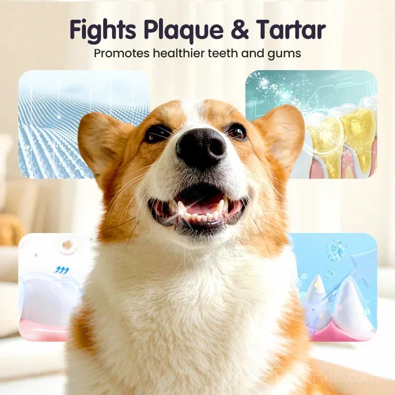 Pet Teeth Cleaning Spray – Fresh Breath & Plaque Control - View 4