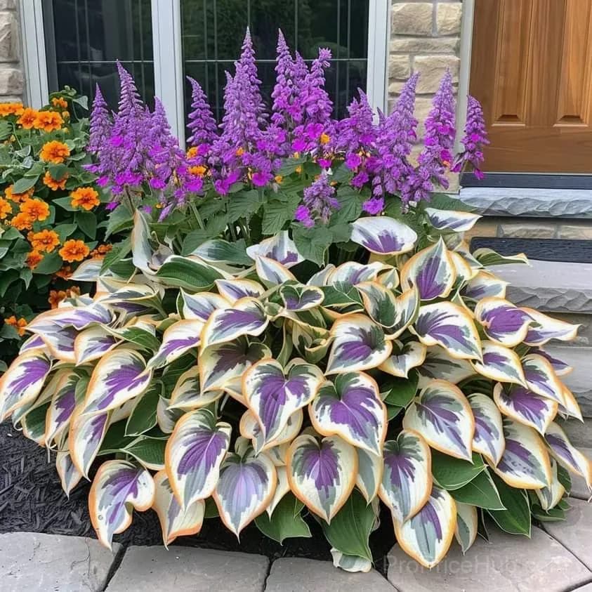 Turn Dead Corners Into a Lush Garden Paradise – Shade-Tolerant Seeds - View 13