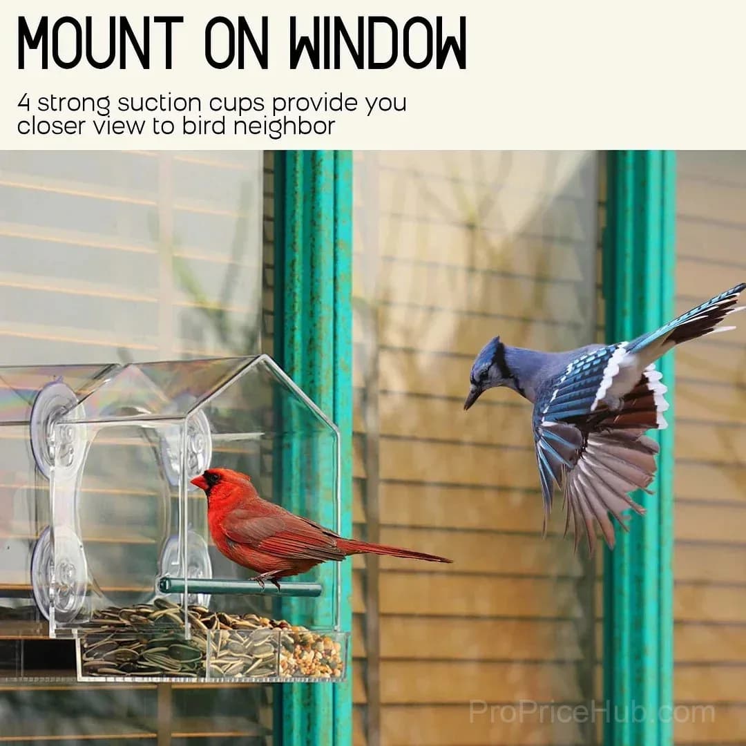 Outdoor Window Bird Feeder - View 4