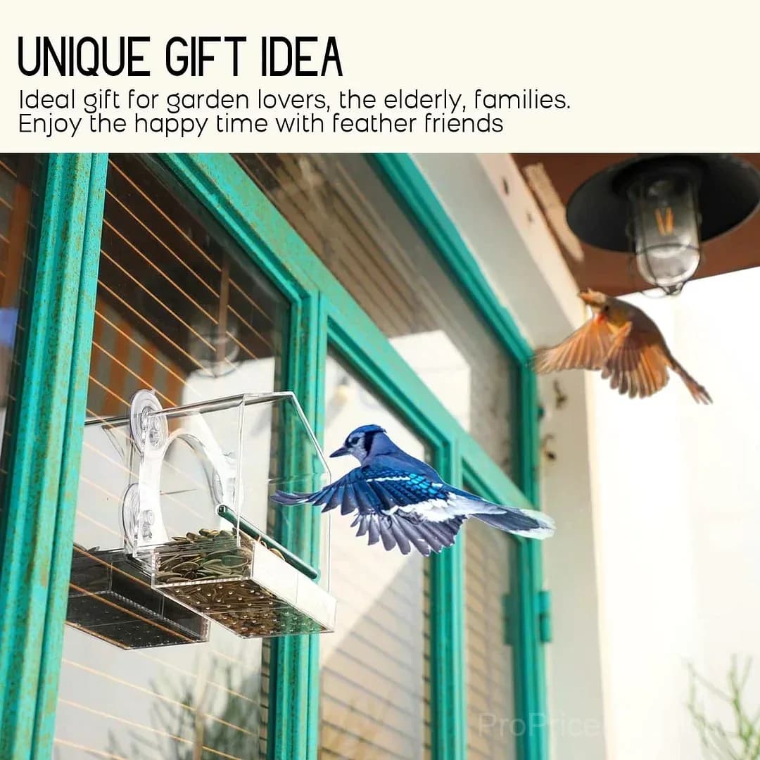 Outdoor Window Bird Feeder - View 5